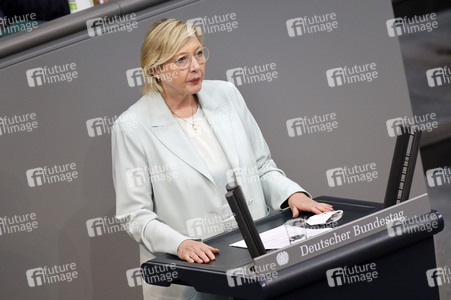 235. Sitzung des Deutschen Bundestages in Berlin