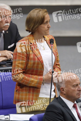 235. Sitzung des Deutschen Bundestages in Berlin