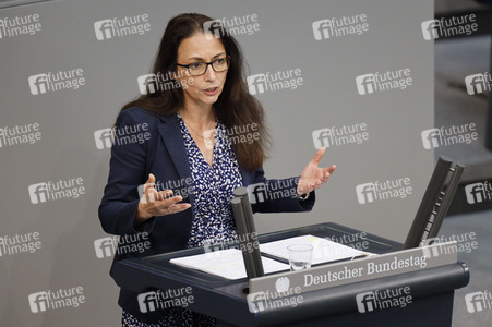 235. Sitzung des Deutschen Bundestages in Berlin