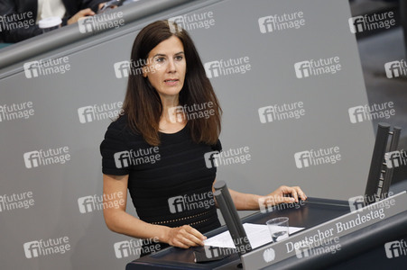 235. Sitzung des Deutschen Bundestages in Berlin