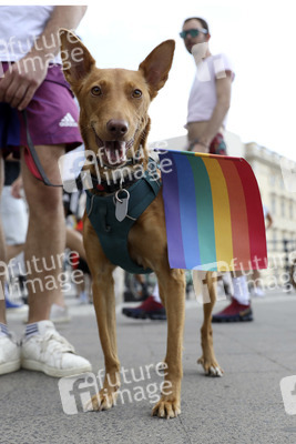 CSD-Demonstrationen in Berlin