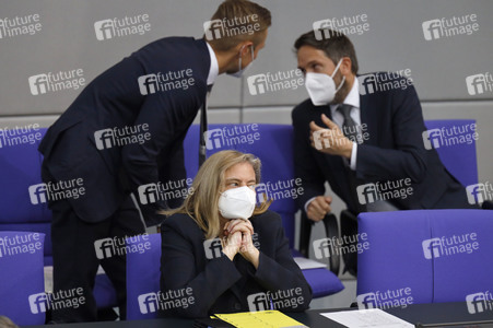 235. Sitzung des Deutschen Bundestages in Berlin