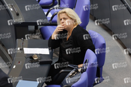 235. Sitzung des Deutschen Bundestages in Berlin