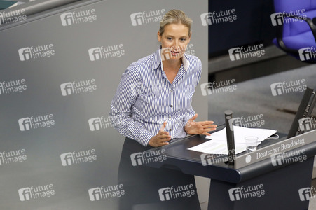 236. Sitzung des Deutschen Bundestages in Berlin