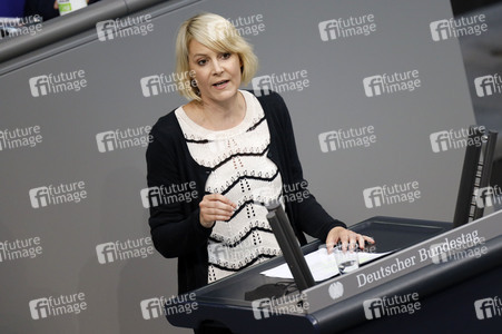 236. Sitzung des Deutschen Bundestages in Berlin