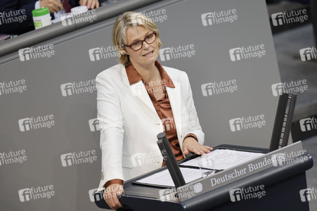236. Sitzung des Deutschen Bundestages in Berlin