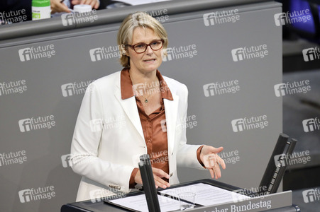 236. Sitzung des Deutschen Bundestages in Berlin