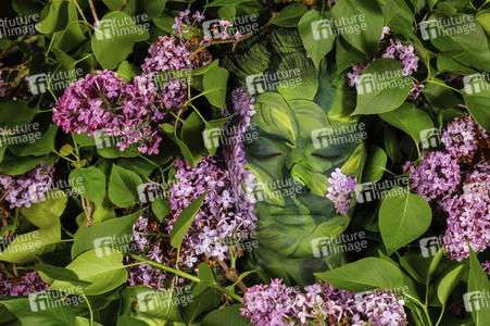 NATURE ART: Flieder / Lilac Bodypainting