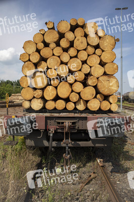 Symbolfoto Holztransport