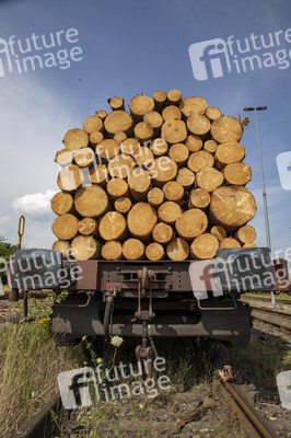 Symbolfoto Holztransport