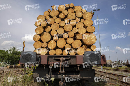 Symbolfoto Holztransport
