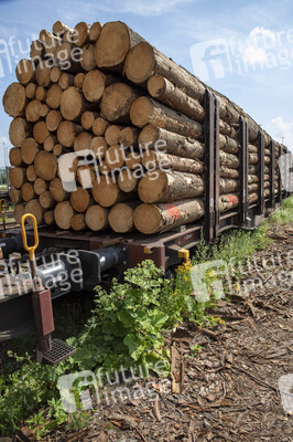 Symbolfoto Holztransport