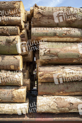 Symbolfoto Holztransport
