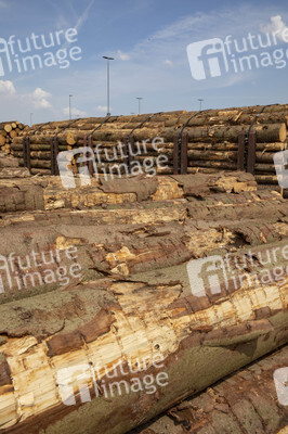 Symbolfoto Holztransport