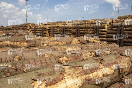 Symbolfoto Holztransport