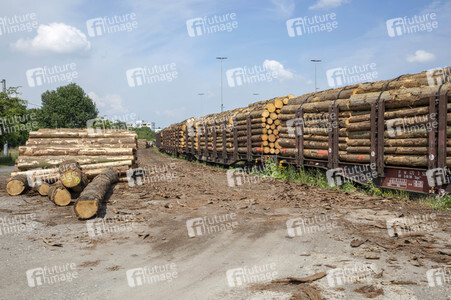 Symbolfoto Holztransport