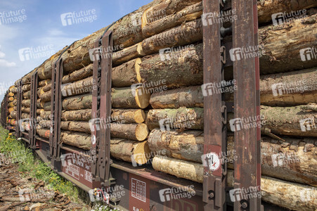Symbolfoto Holztransport