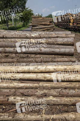 Symbolfoto Holztransport