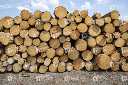 Symbolfoto Holztransport
