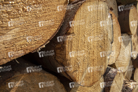 Symbolfoto Holztransport