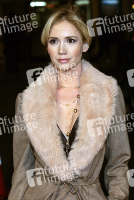 Filmpremiere 'Die Familie Stone - Verloben verboten!' in Los Angeles