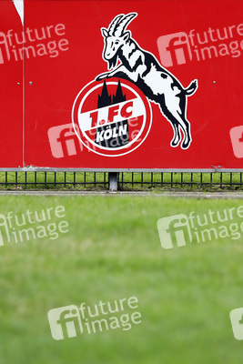 Trainingsauftakt des 1. FC Köln