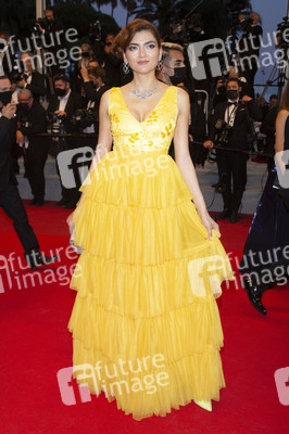 Filmpremiere 'Flag Day', Cannes Film Festival 2021