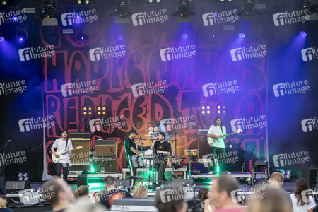 Konzert von den Leoniden Kid in Erfurt