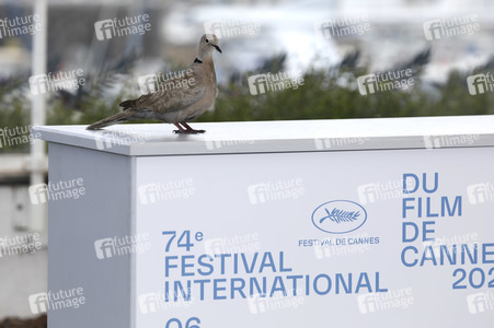 Photocall 'France', Cannes Film Festival 2021