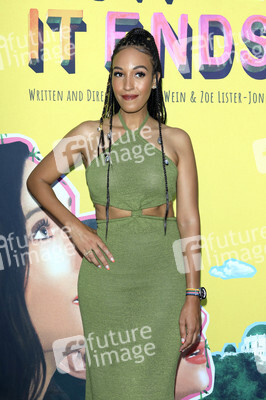 Filmpremiere 'How It Ends' in Los Angeles