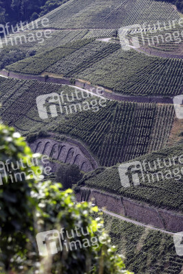 Weinberge bei Dernau