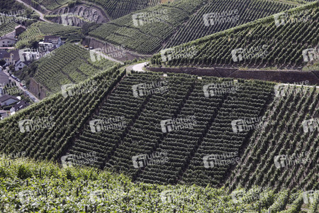 Weinberge bei Dernau