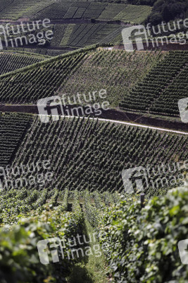 Weinberge bei Dernau