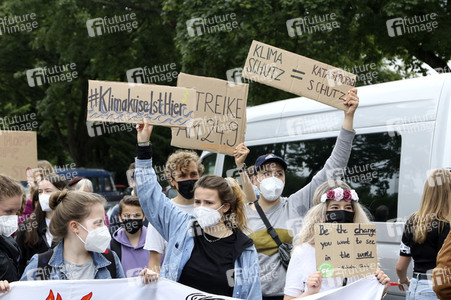 Fridays for Future Demonstration in Hamburg
