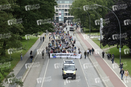 Fridays for Future Demonstration in Hamburg