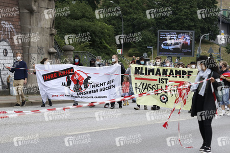 Fridays for Future Demonstration in Hamburg
