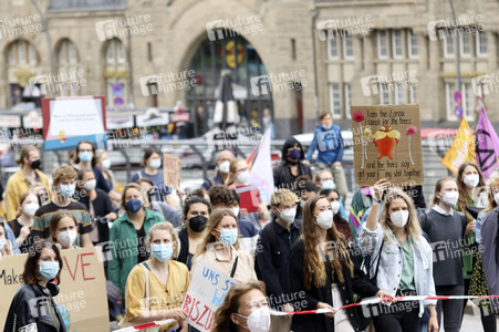 Fridays for Future Demonstration in Hamburg