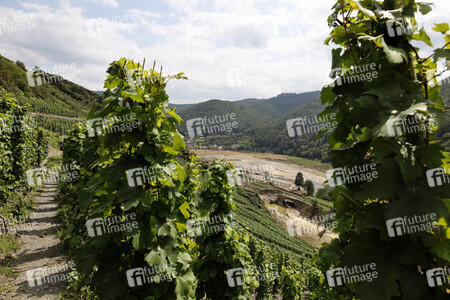 Flutschäden in der Eifel