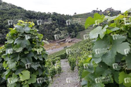 Flutschäden in der Eifel