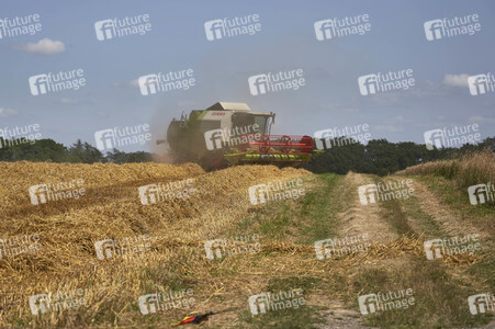 Symbolfoto Ernte