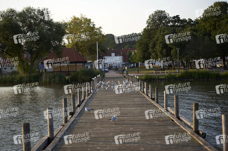 Sonnenaufgang in Steinhude
