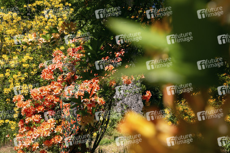 'Welttag des Naturschutzes' - Bodypainting