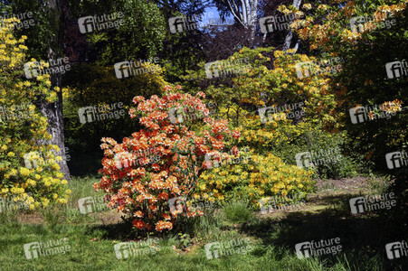 'Welttag des Naturschutzes' - Bodypainting