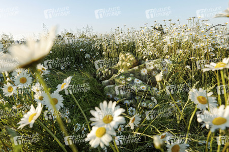 'Welttag des Naturschutzes' - Bodypainting
