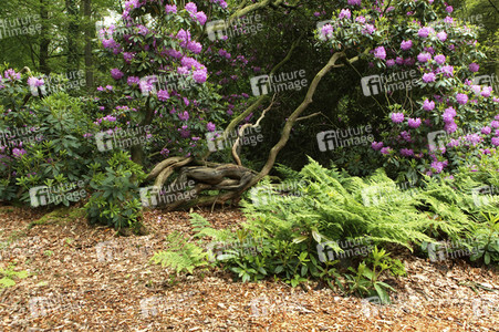 'Welttag des Naturschutzes' - Bodypainting