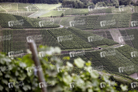 Weinberge in Dernau
