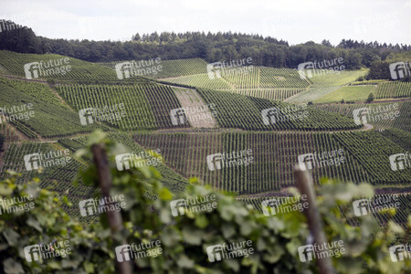 Weinberge in Dernau