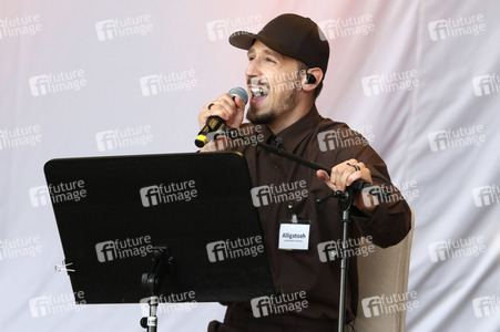 Konzert von Alligatoah in Hamburg