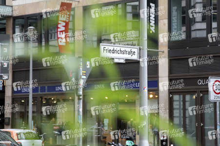 Hanfpflanze auf der Friedrichstraße in Berlin
