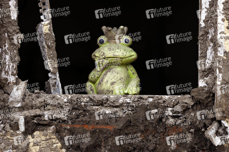 Flutschäden in der Eifel